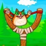 Игра Злой Кот Выстрел | Angry Cat Shot